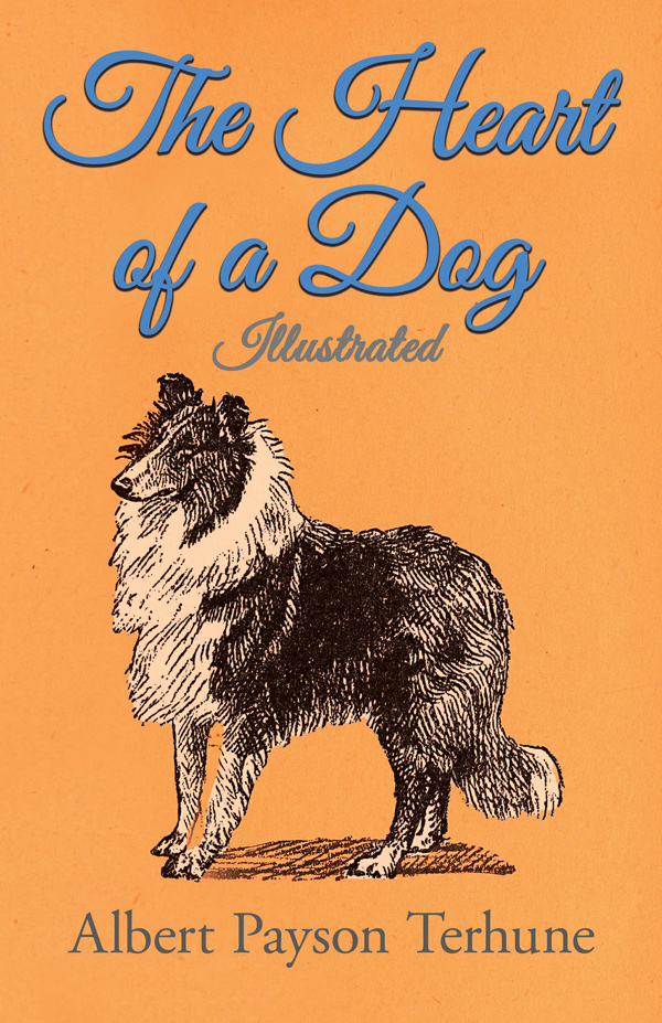 9781447472483 - The Heart of a Dog - Illustrated - Albert Payson Terhune