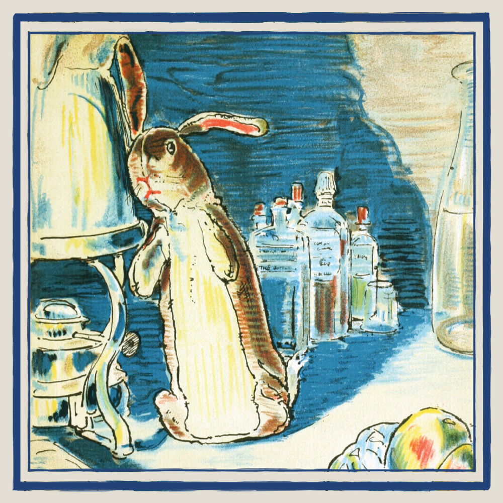 Original Illustration from The velveteen Rabbit by William Nicholson with border