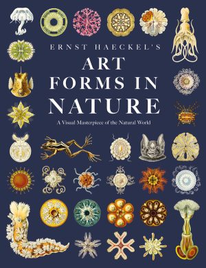 9781528720809 - Ernst Haeckel’s Art Forms in Nature - Ernst Haeckel