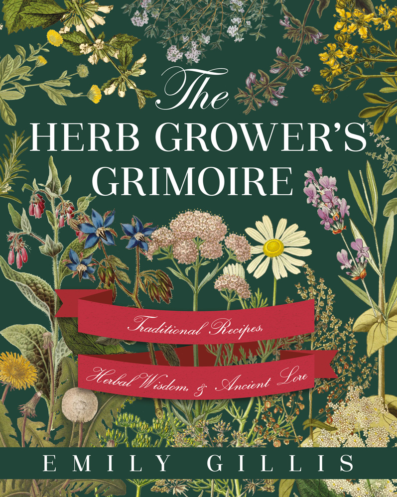 The front cover of The Herb Grower's Grimoire which is decorated with illustrations of various medicinal herbs
