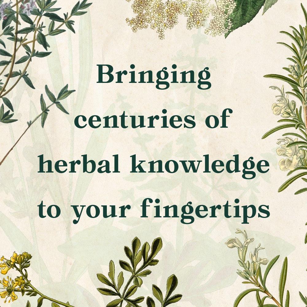 A floral square image displaying text that reads Bringing centuries of herbal knowledge to your fingertips