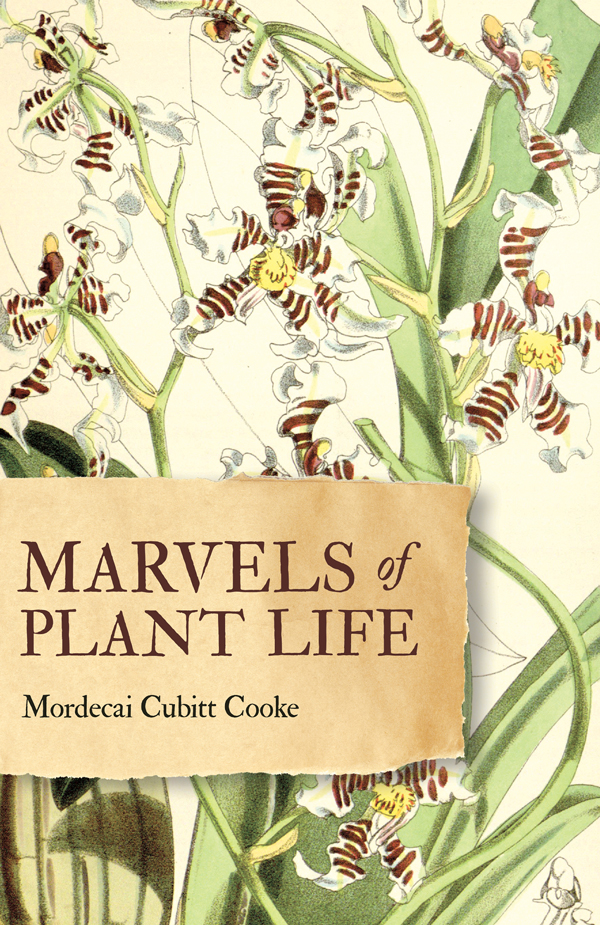 9781528724708 - Marvels of Plant Life - Mordecai Cubitt Cooke