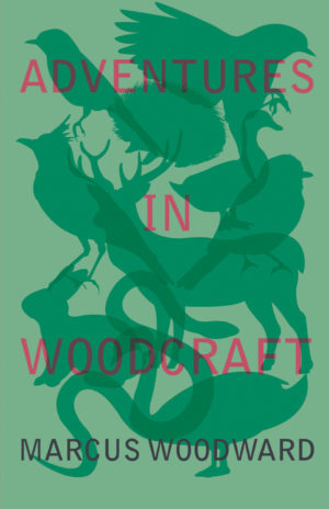 9781528701808 - Adventures in Woodcraft - Marcus Woodward