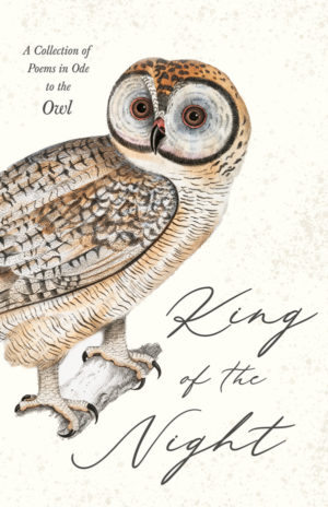 9781528719834 - King of the Night - Various