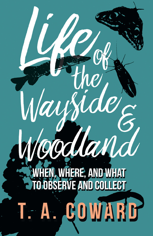 9781528701648 - Life of the Wayside and Woodland - T. A. Coward