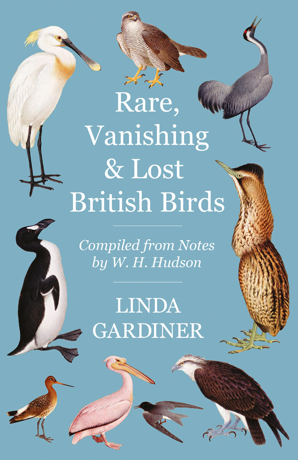 Rare, Vanishing and Lost British Birds